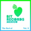 The Best of Bit Records Mexico, Vol. 2, 2013