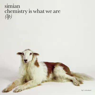 Chemistry Is What We Are - Simian Chemistry Is What We Are - Simian