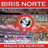 Magia en Nervión: Sevilla Futbol Club artwork