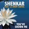 You've Shown Me (feat. LA Drum Cartel) - Shenkar lyrics