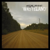 Wasteland (feat. Mike Ladd, Jozef Dumoulin, Stephane Kerecki, Fabrice Moreau & Julien Lourau) artwork