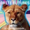 Bedroom Costume - Brite Futures lyrics