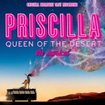 Jacqueline B. Arnold, Anastacia McCleskey, Ashley Spencer, Will Swenson & Pricilla Queen of the Desert Company - It's Raining Men