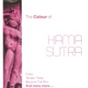 The Colour of Kamasutra, Vol. 3
