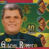40 Éxitos - La Historia Musical de Gabriel Romero