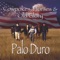 Ernesto Galvan - Palo Duro lyrics
