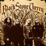 Black Stone Cherry - Lonely Train