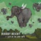 A Reckoning of Us - Robby Hecht lyrics