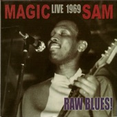 Raw Blues - Live 1969 artwork