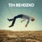 Am seidenen Faden - Tim Bendzko lyrics