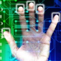 Internet strumento di partecipazione e risorsa per la sostenibilita' ambientale e sociale cover