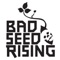 I Won't Be the One - Bad Seed Rising lyrics