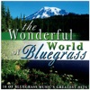 Wonderful World of Bluegrass