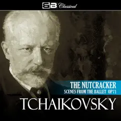 Nutcracker Ballet, Op. 71: The Snow-flakes' Waltz Song Lyrics