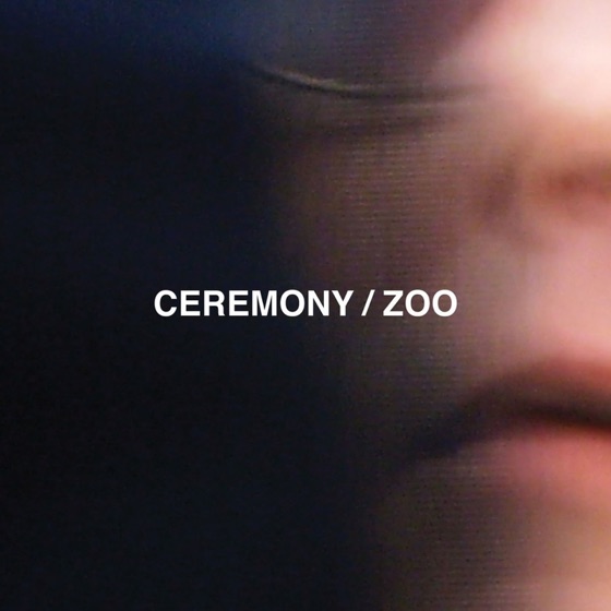 Cover artwork for Nosebleed