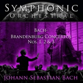 Symphonic Orchestral - Bach Brandenburg Concertos Nos. 1, 2, 3 artwork