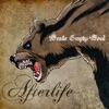 Afterlife - Single