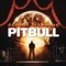 Echa Pa'lla (Manos Pa'rriba) [feat. Papayo] - Pitbull lyrics