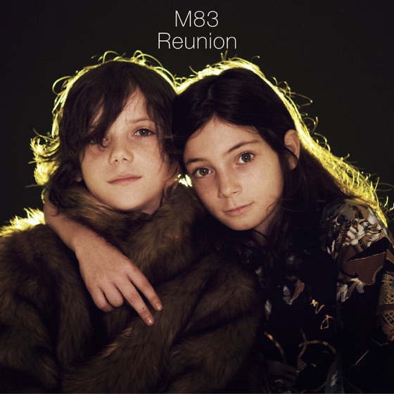 Cover artwork for Reunion (The Naked and the Famous Remix)