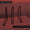 The Future Remixes