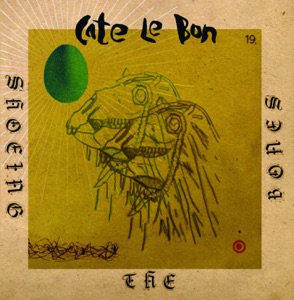 Shoeing the Bones - Single