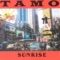 Stranger In the Night - TAMO lyrics