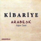 Arabesk (Aşkın Sesi) artwork