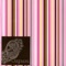 American Cheese - The Screaming Cherry Blossoms lyrics