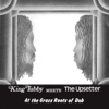 King Tubby Meets the Upsetter At the Grass Roots of Dub - King Tubby & Lee "Scratch" Perry