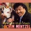 Mensch, hab ich ein Schwein - Single