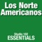 When I'm Sixty-four - Los Norte Americanos lyrics