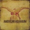 Ain't Going to the Bar Tonight - American Aquarium lyrics
