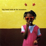 Big Head Todd & The Monsters - Resignation Superman