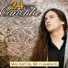 Stream & download Mis Éxitos, Mi Flamenco. 24 Canciones del Canelita