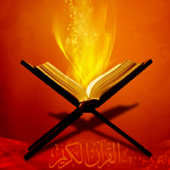 El Corán Santo, Vol. 13 - محمود علي البنا
