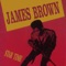 Public Enemy #1 - James Brown lyrics