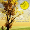 Chill Out Essentials - Autumn Edition, 2012