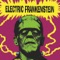 I Was a Punk Before You Were a Punk - Electric Frankenstein lyrics