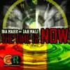 Stream & download The Time Is Now (feat. Jah Mali) - Single