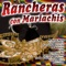 Gracias por Tanto Amor - Orlando y Sus Mariachis lyrics