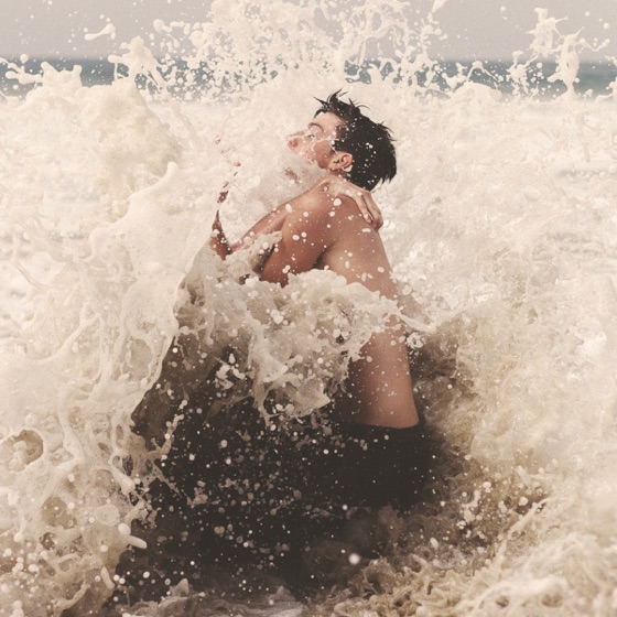 Cover artwork for Desires
