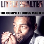 The Complete Chess Master artwork