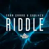 Stream & download Riddle - Single