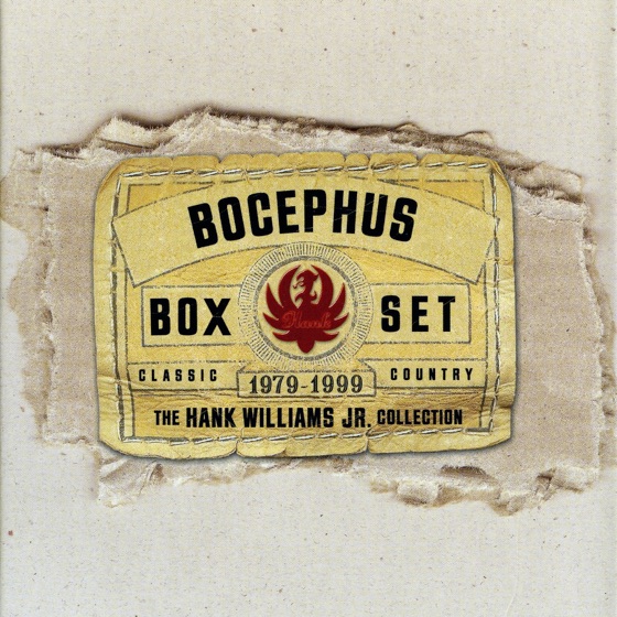 Cover artwork for A Country Boy Can Survive (Y2K Version)