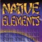 2000 Years - Native Elements lyrics