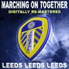 Leeds, Leeds, Leeds (Marching On Together) - Single artwork