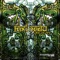 Finish the Course - Faxi Nadu lyrics