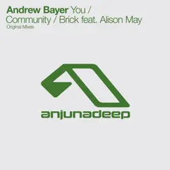 You / Community / Brick (feat. Alison May) - EP by Andrew Bayer album reviews, ratings, credits