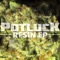 Pied Piper Pimp - Potluck lyrics