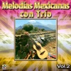 Melodias Mexicanas Con Trio, Vol. 2